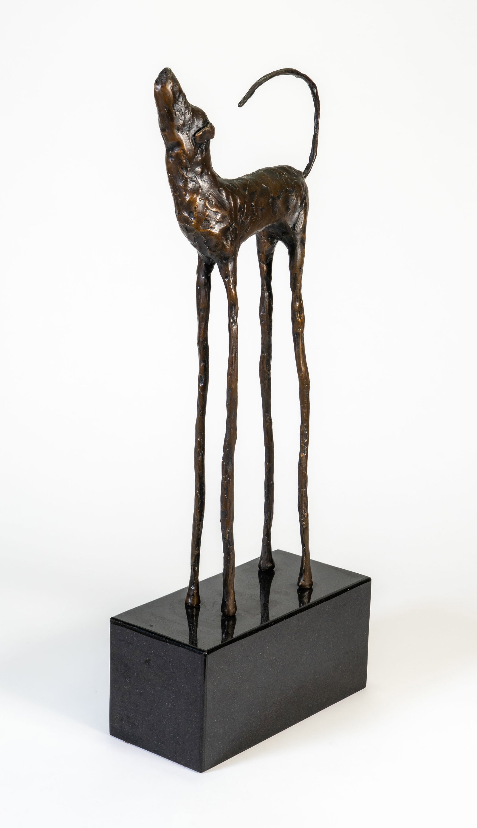Jim Budish (American, b. 1953) Bronze Dog "Zoe" - 3