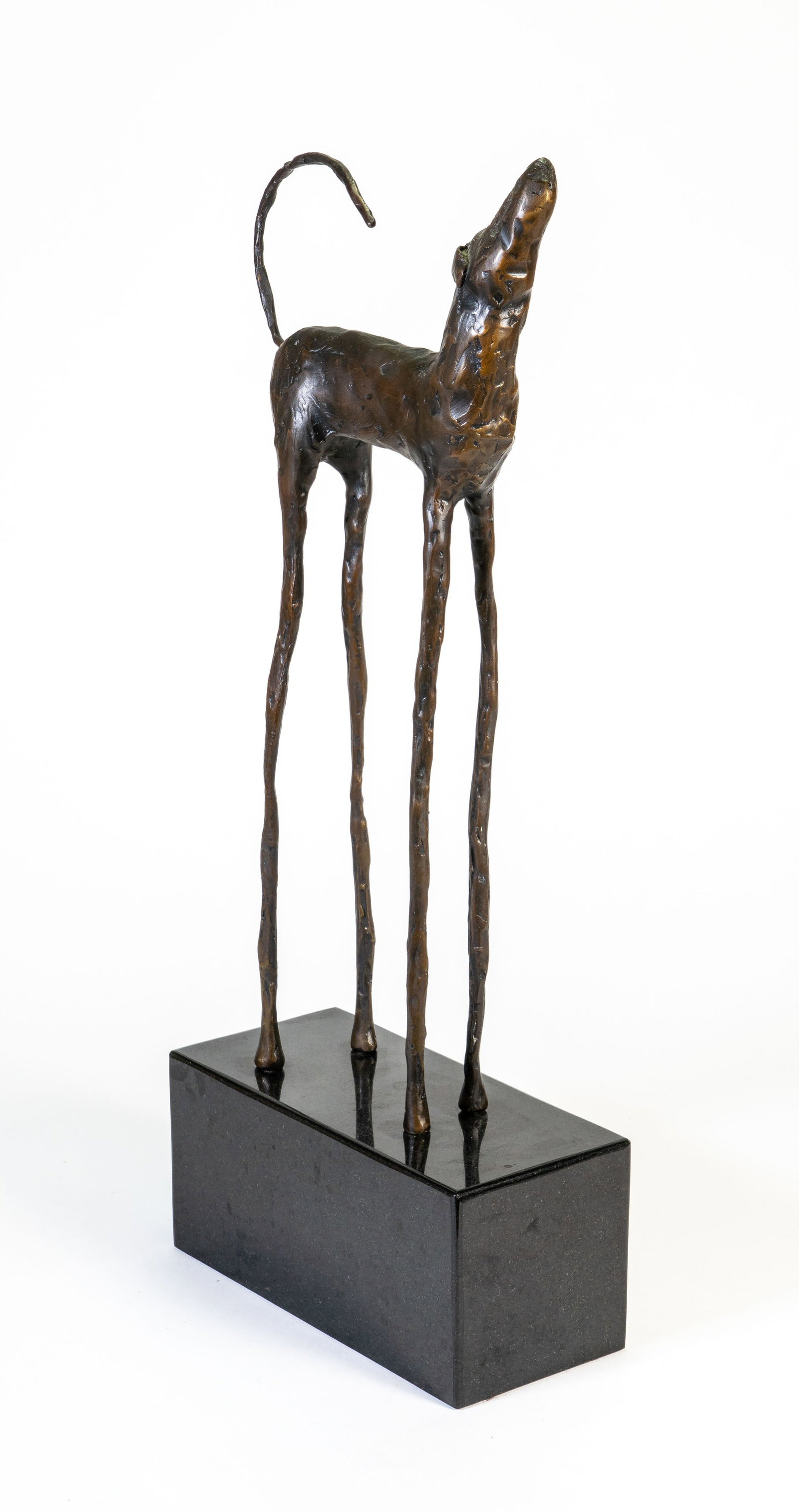 Jim Budish (American, b. 1953) Bronze Dog "Zoe" - 4