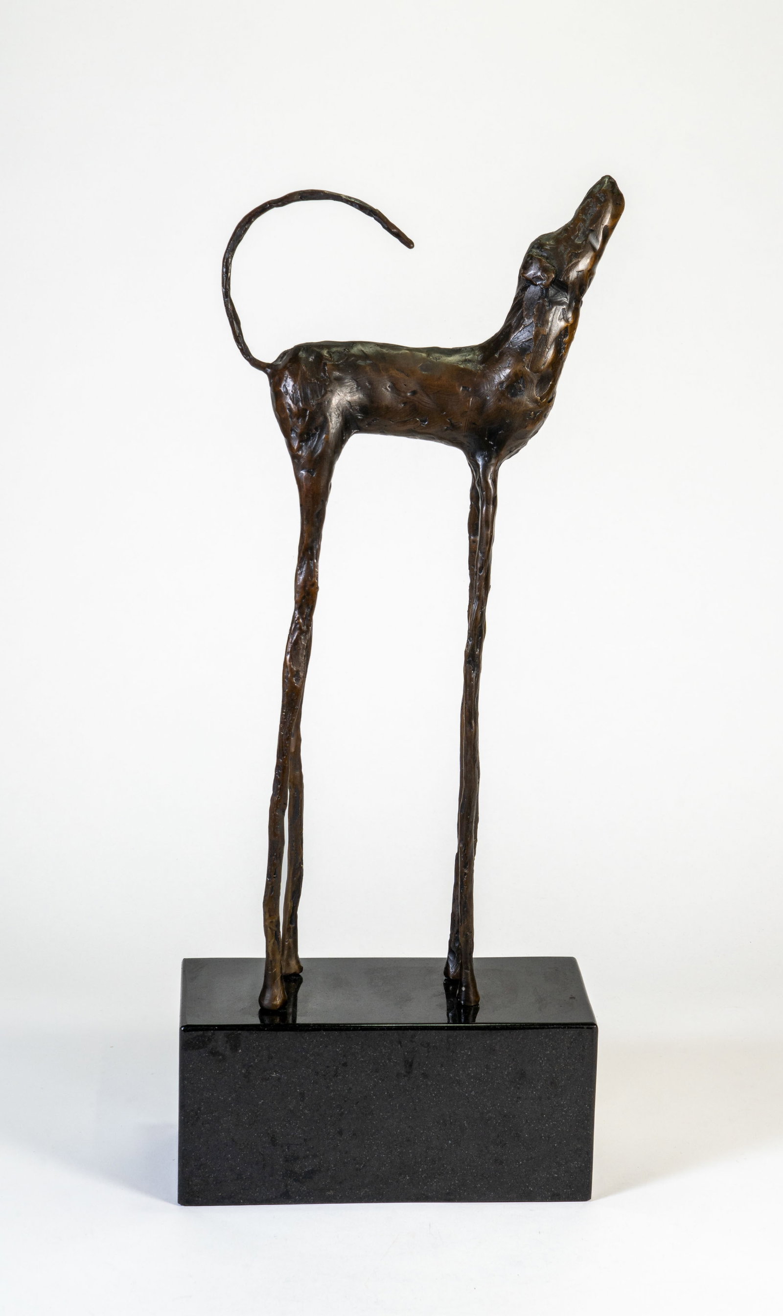 Jim Budish (American, b. 1953) Bronze Dog "Zoe" - 5