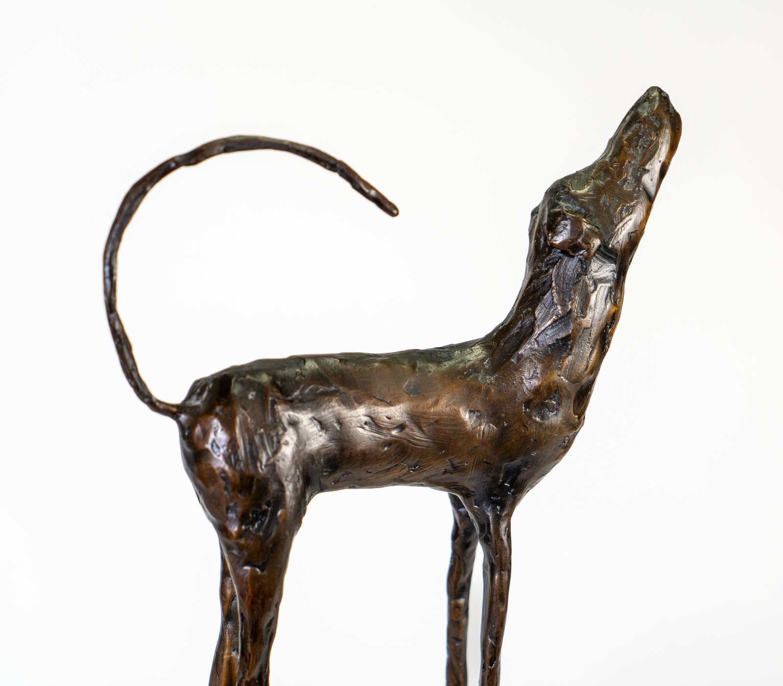 Jim Budish (American, b. 1953) Bronze Dog "Zoe" - 7
