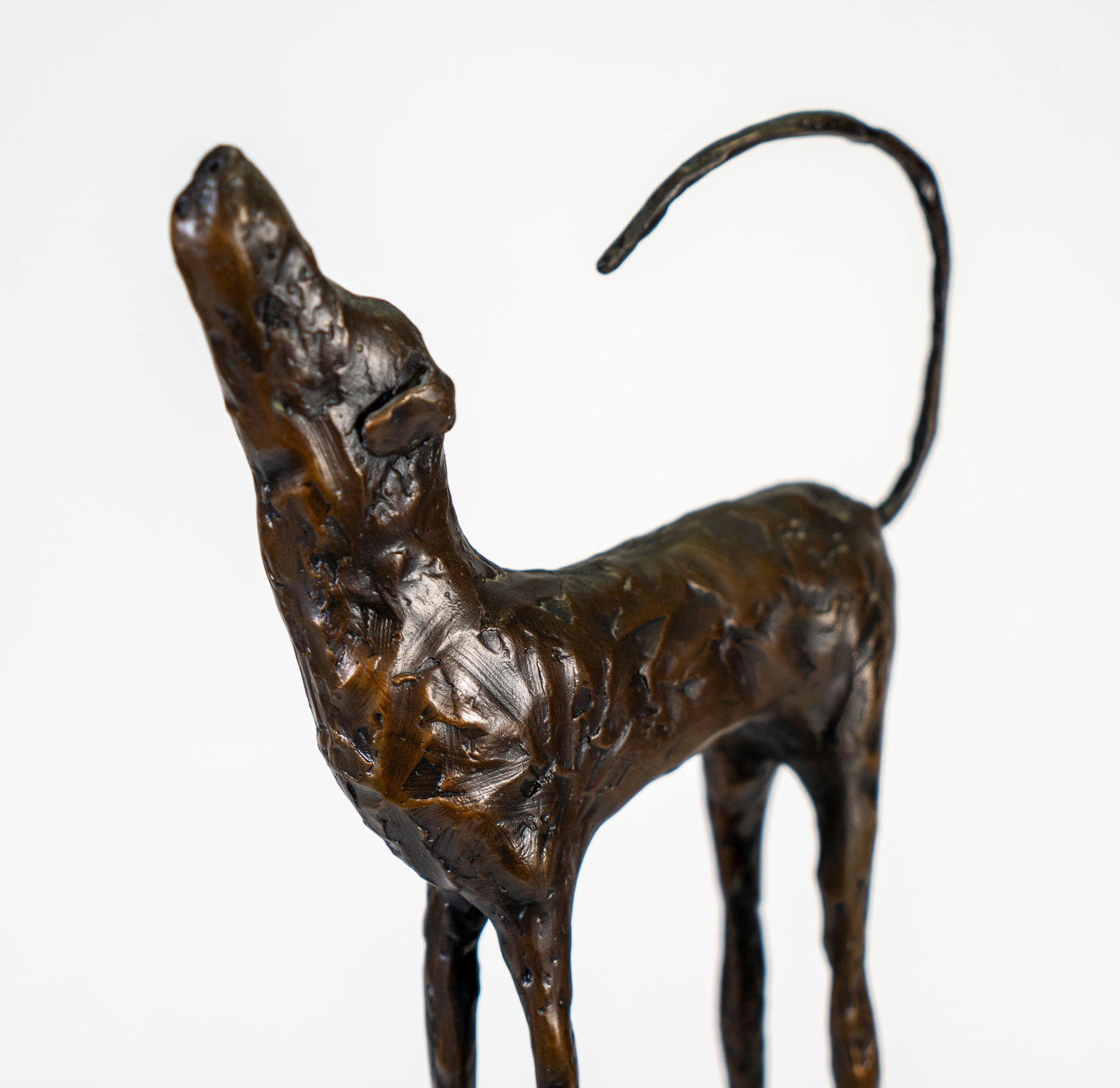 Jim Budish (American, b. 1953) Bronze Dog "Zoe" - 8