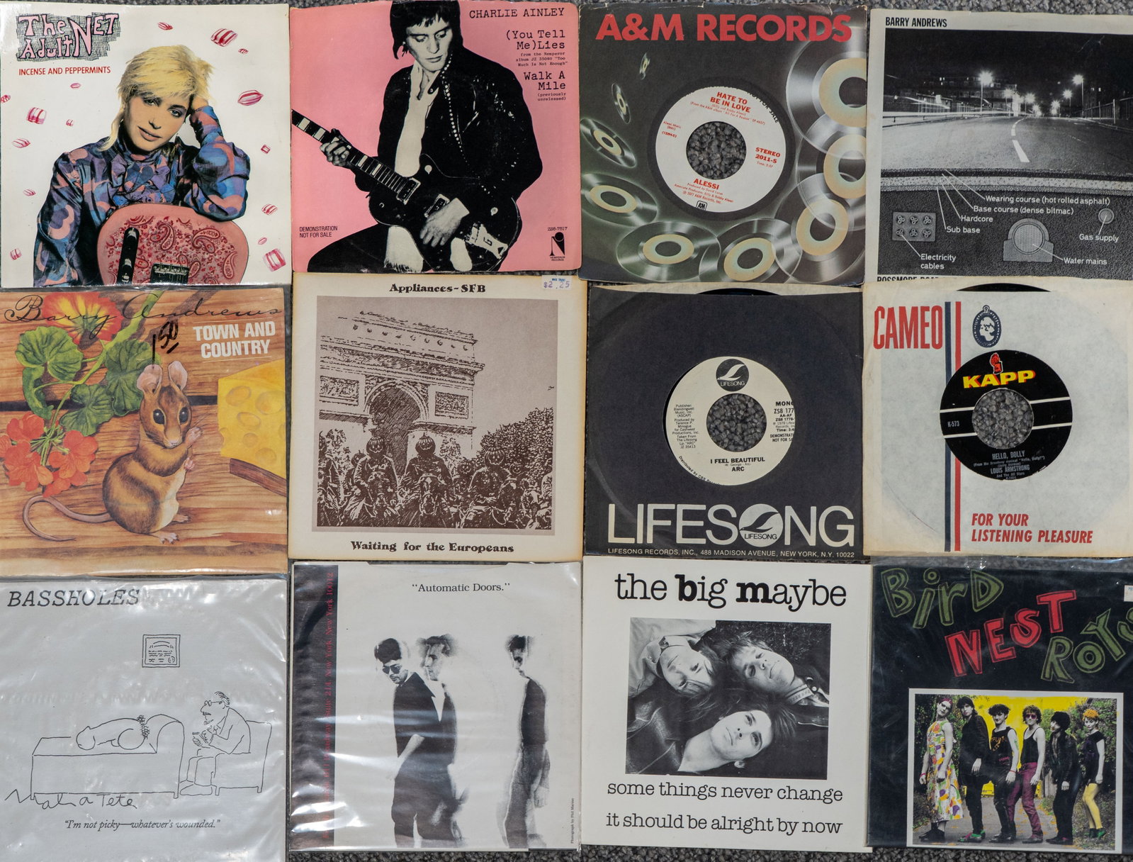 Large Collection of 45 RPM Vinyl Records: Over 250 45 RPM vinyl records. Artists include The Beatles, Kate Bush, The Damned, Husker Du, Meat Puppets, Mudhoney, R.E.M., The Rolling Stones, XTC, Genesis, Patti Smith, PiL, etc. See photos. Colle