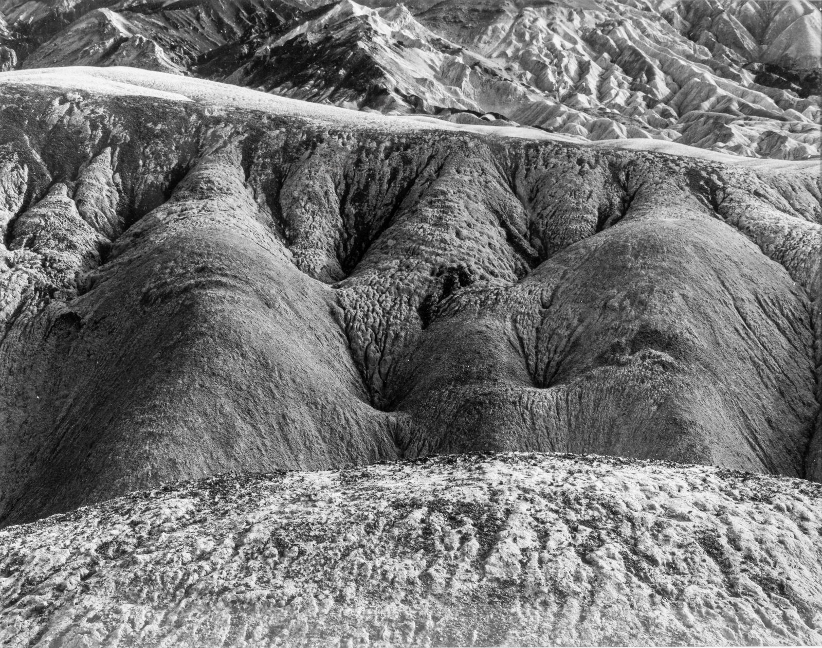 Edward Weston (American, 1886-1958) Photograph (1 of 4)