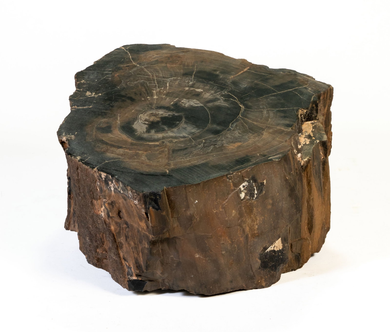 Large Petrified Wood Specimen (1 of 9)