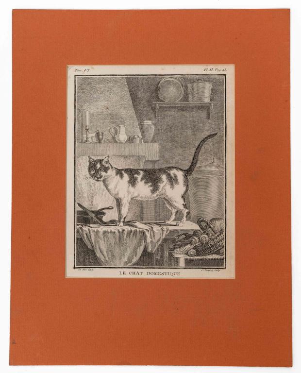 [ART] DE SEVE, JACQUES. LOT OF 2 CAT PRINTS. 1756 (1 of 3)