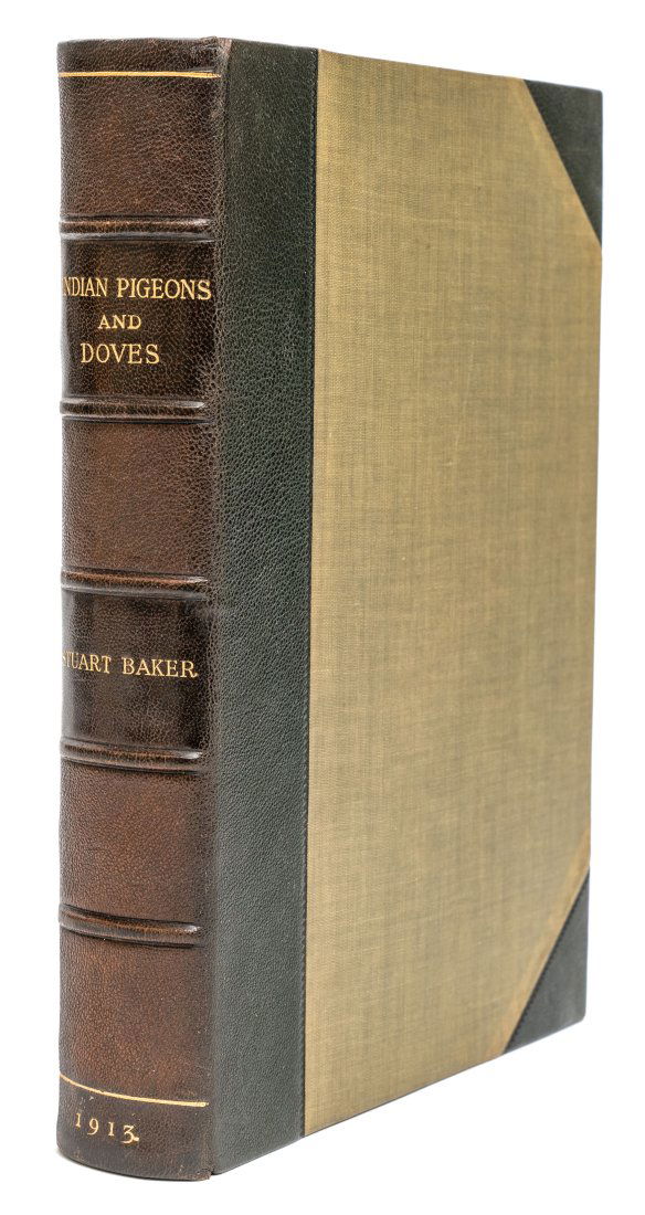 BAKER, E.C.S. INDIAN PIGEONS AND DOVES. 1913 (1 of 3)