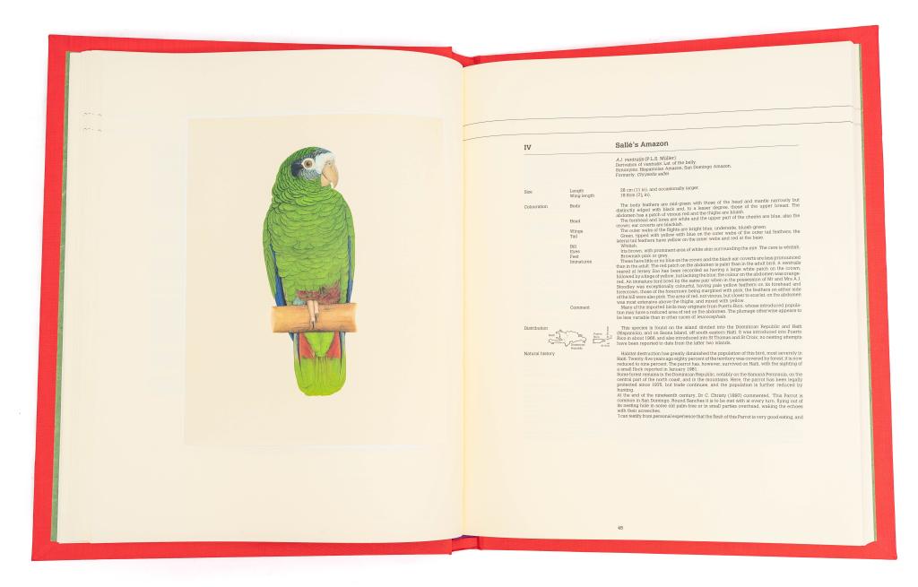 BUTTERWORTH; LOW. AMAZON PARROTS W/OG SKETCH. 1983: Butterworth, Elizabeth; Low, Rosemary. AMAZON PARROTS. London: Rodolphe d'Erlanger/The Basilisk Press, 1983. 178 pp. * Folio. Full pure red silk boards. Special green tissue endpapers. Housed in black