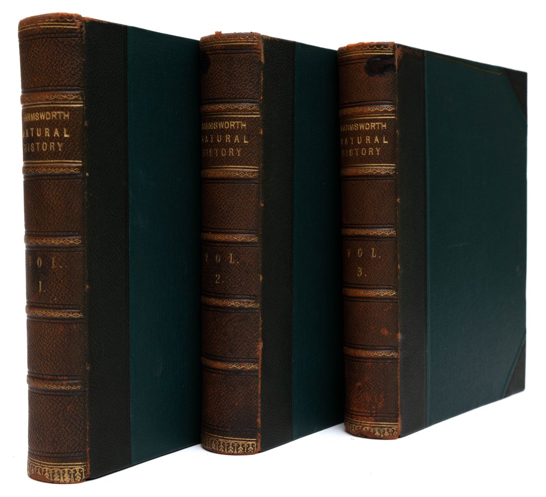LYDEKKER, ETC. HARMSWORTH NATURAL HISTORY. 3 VOLS (1 of 3)