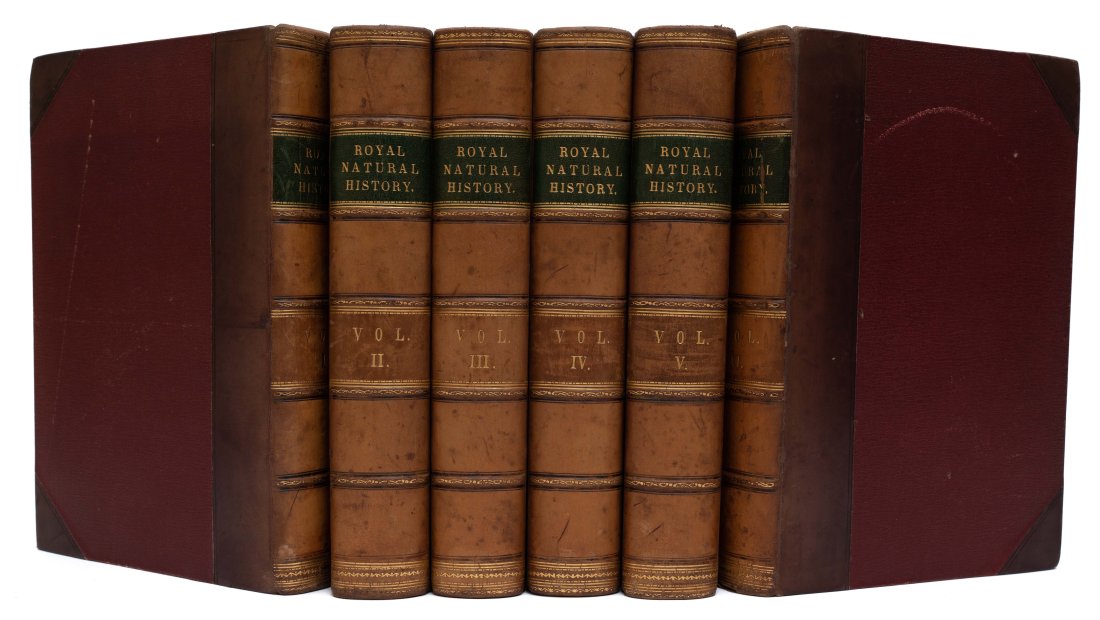 LYDEKKER, R. ROYAL NATURAL HISTORY. 6V. 1893-6 (1 of 3)