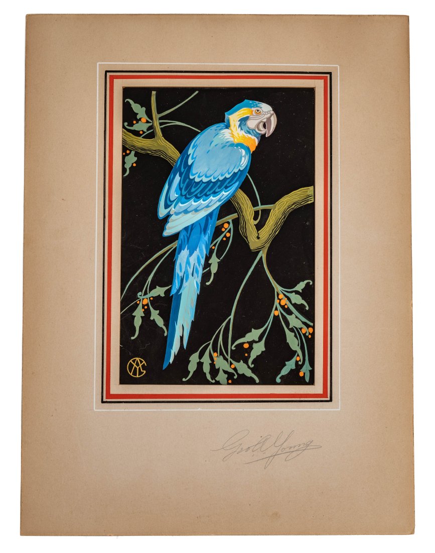 [PARROTS] ART DECO PRINT. GEO A YOUNG (1 of 3)