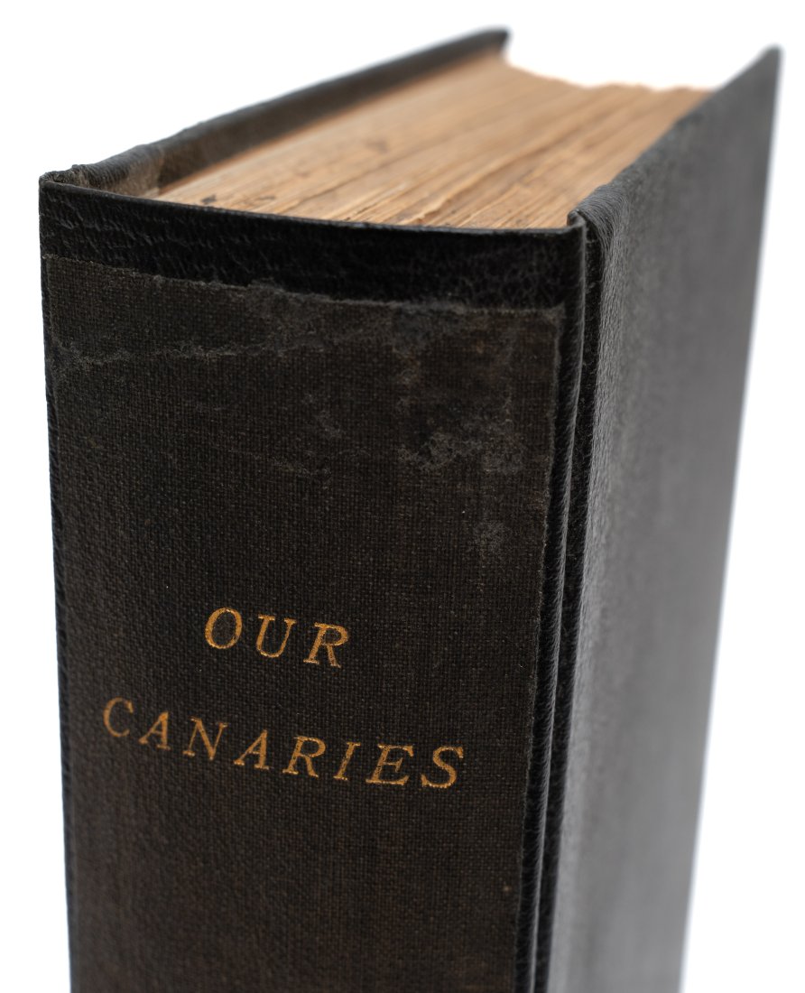 ST. JOHN, CLAUDE; NORMAN, H. OUR CANARIES. 20TH C: St. John, Claude; Norman, H. [illustrator] OUR CANARIES. London: 'Cage Birds,' n.d. (early 20th century) Quarto. Full black cloth boards. Gilt lettering on spine. Tan endpapers. With 32 colour and b&w
