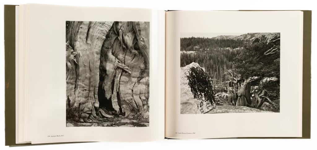 MADDOW, BEN. EDWARD WESTON: 50 YEARS. 1973 (1 of 6)