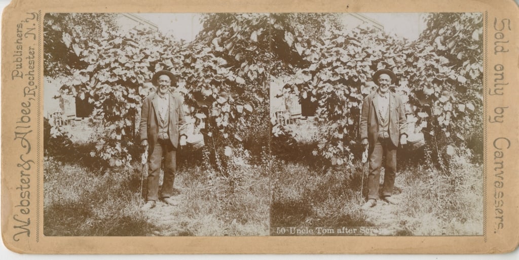 [STEREOS] AMERICAN SOUTH. LOT OF 6 SOLD TOGETHER: AMERICAN SOUTH. A lot of 5 stereos plus 1 boudoir card sold together. [Stereos] Various publishers/photographers: Strohmeyer & Wyman for Underwood & Underwood (New York); Webster & Albee (Rochester, N