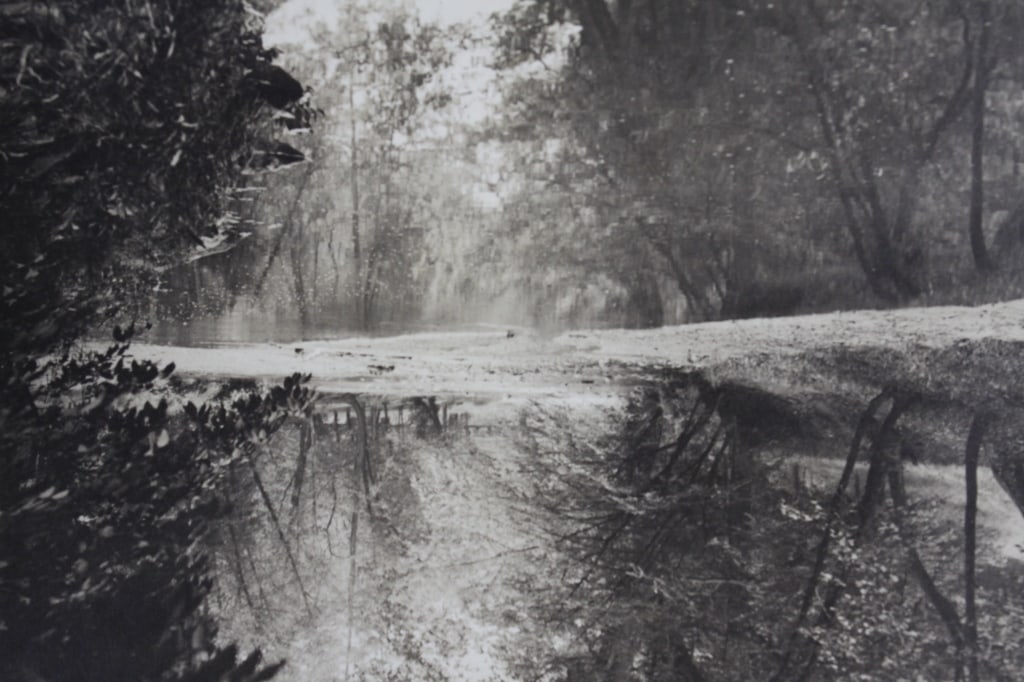[ALBUMS] LYON, G.L. ROCK CREEK PARK. 1930s. 173 P: Lyon, G.L. [photographer]. ROCK CREEK PARK / "SCENES AROUND WASHINGTON." Album with approximately 173 photos. Circa 1930s. Many views of the park and people around, including scenes of children wading
