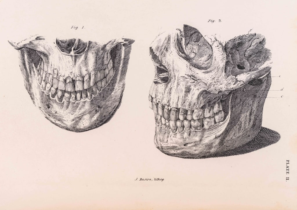 [SCI/MED] PALMER. JOHN HUNTER WORKS. ATLAS. 1837 (1 of 7)