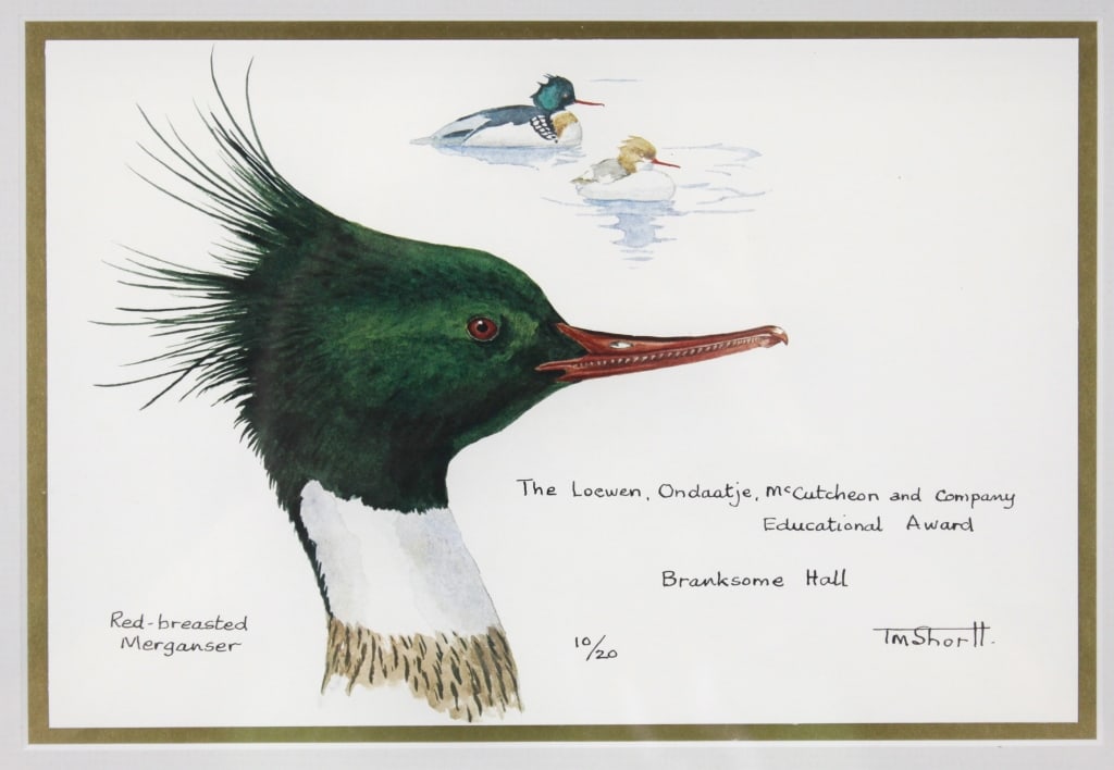 SHORTT, TIM. PRESENTATION PRINT: MERGANSER (1 of 3)