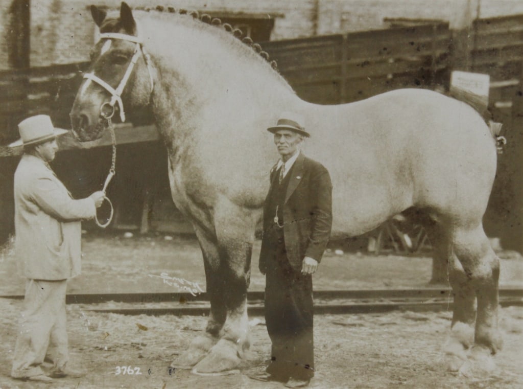 [POSTCARDS ETC.] LOT OF 16 SOLD TOGETHER: POSTCARDS, ETC. A lot of 16 sold together. Including views of LONDON, portrait of CLEO DE MERODE (French dancer), world's LARGEST HORSE (BROOKLYN), pair of Black women, flood, etc. 3.75" x 2.25" - 3.2