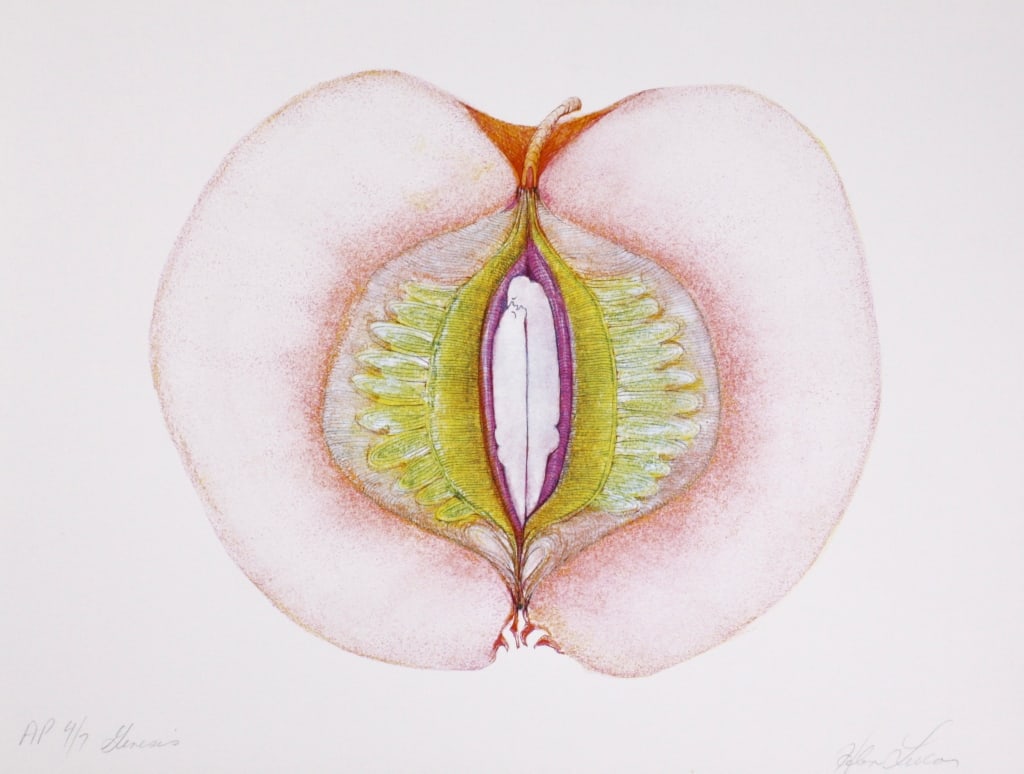 LUCAS, HELEN. THIS IS MY BELOVED - SOMETIMES. 1981 (1 of 9)