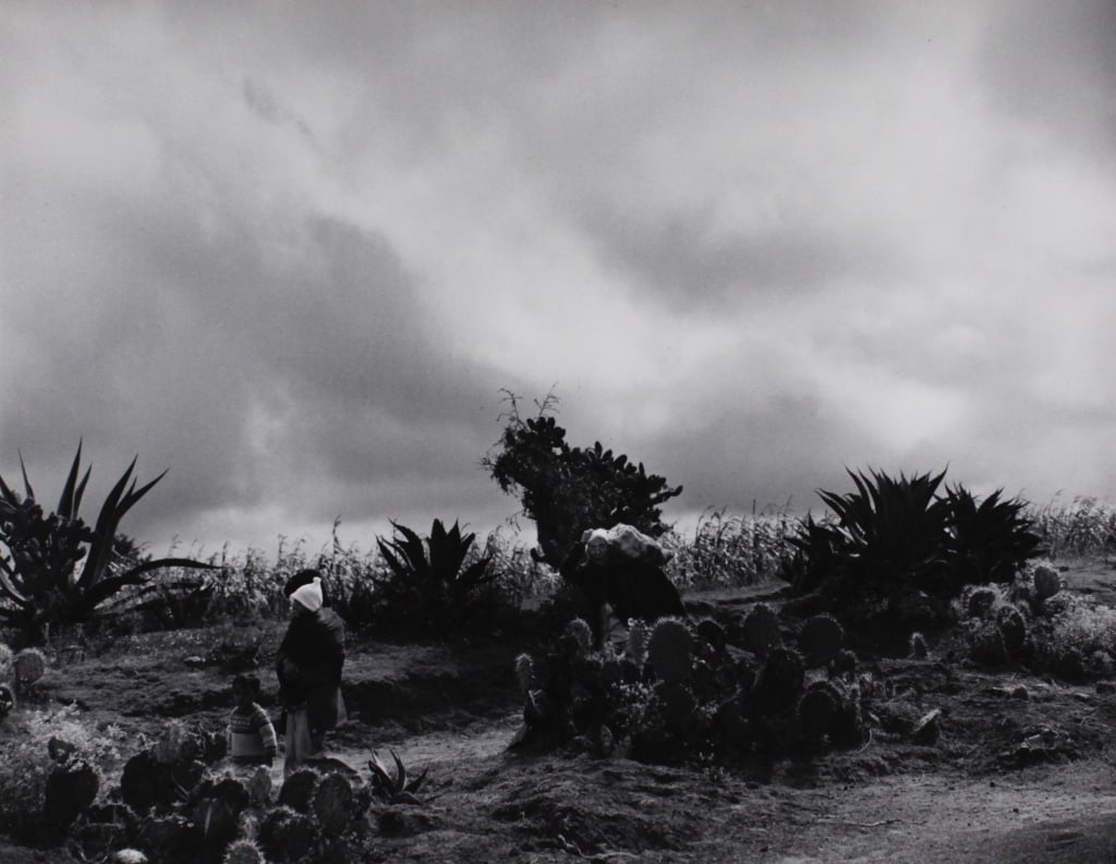 REYNOSO, ANTONIO. PEASANT FAMILY, MEXICO. 1976: REYNOSO, Antonio. CASTANEDA. PEASANT FAMILY IN MEXICO. 1976. Silver printed mounted to larger sheet, mounted with plastic corners to mat. Signed and dated in pencil lower right. Print: 9.75" x 12.75" 