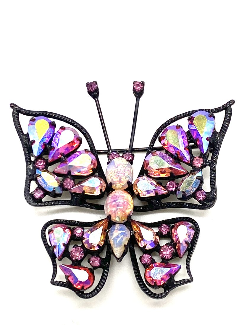 Beautiful Laurich Warner Butterfly (1 of 5)