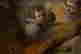 item-137176870=3