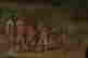 item-137176870=4