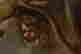 item-137176870=5