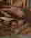 item-137177314=5