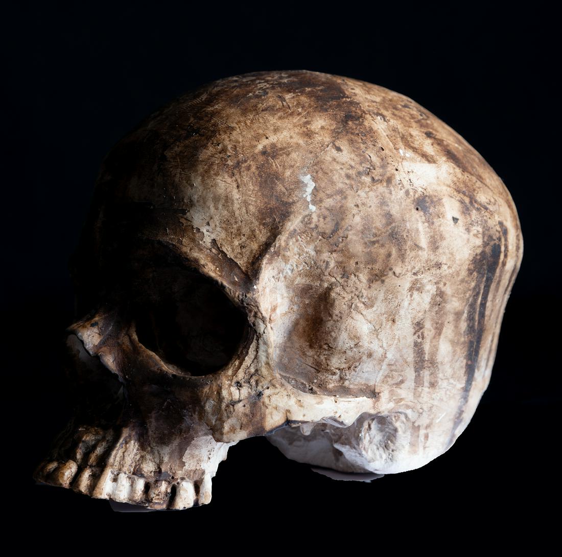 Life-size Vanitas skull in polychrome plaster molding, 18th - 19th centuries: Measurements: 14 x 14 x 12 cm