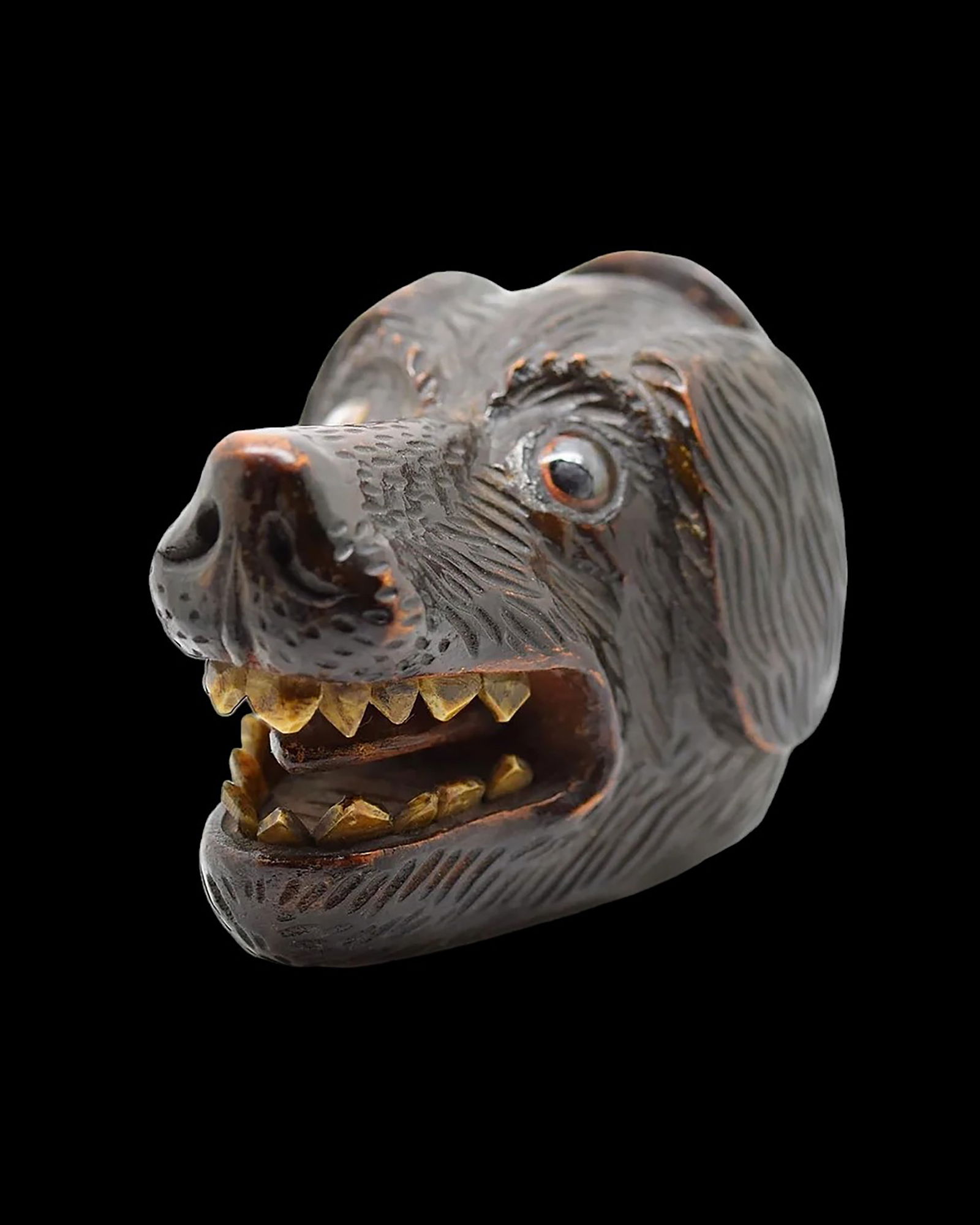 Treen snuff box in the form of a dogs head. Scottish, 19th century.: Treen snuff box in the shape of a snarling dog's head. Treen is a generic name given to small functional but decorative objects made of wood. Modelled as a dog's head with carved bone teeth, glass eye