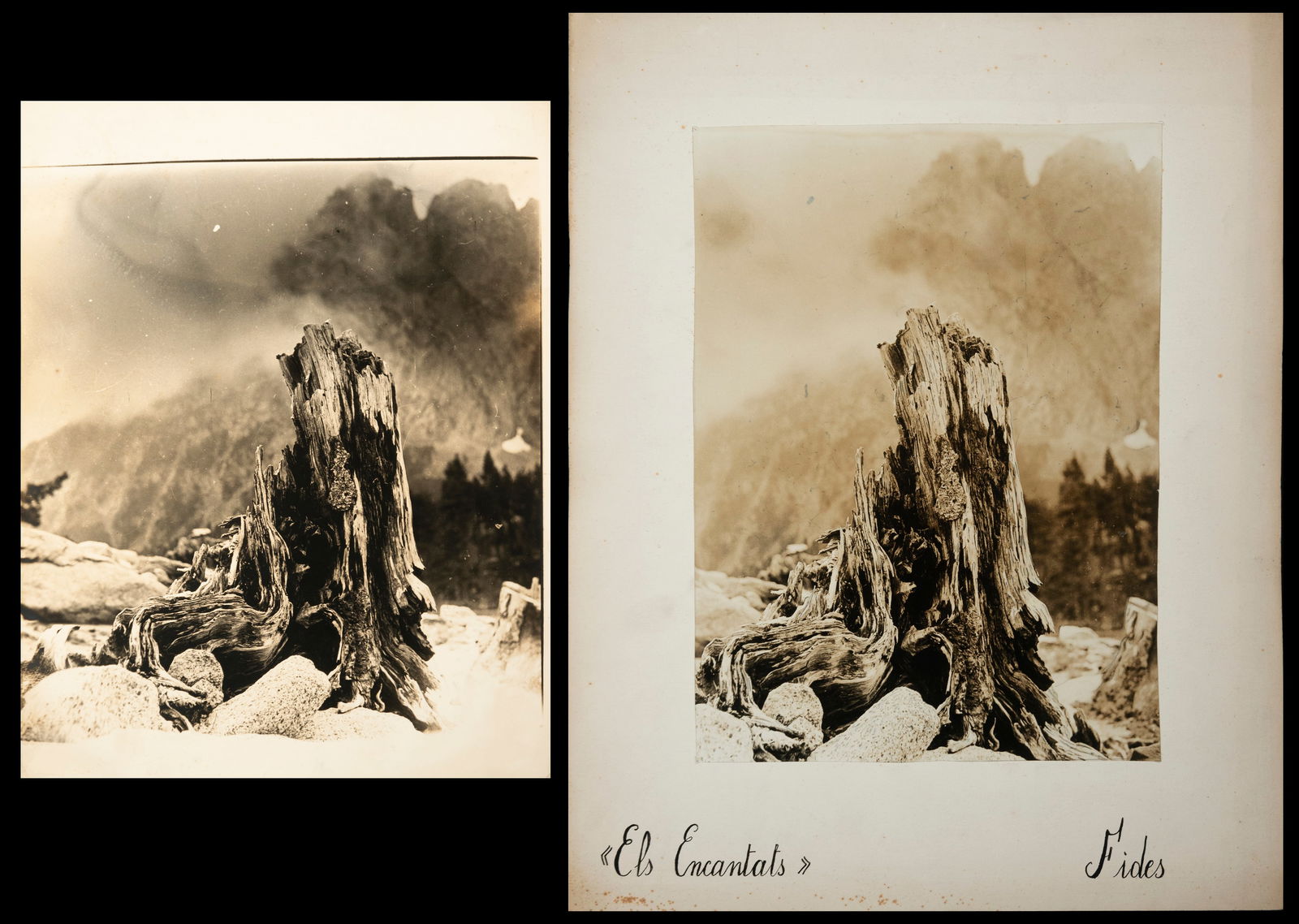 Els Encantats - Spain - 20th Century: This image portrays a mountainous landscape with a particular focus on an old, gnarled tree trunk, framed by mountains in the background. The black and white photograph captures the mysterious and alm