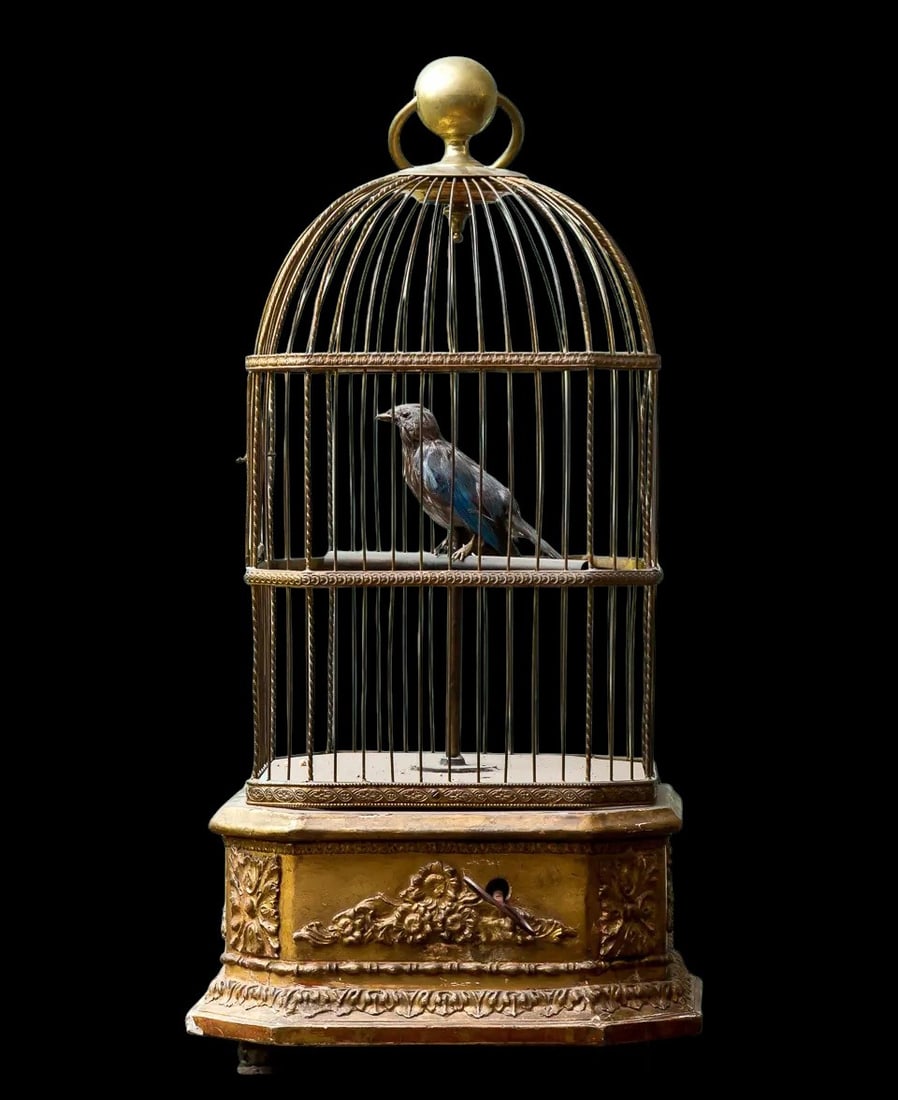 Automaton birdcage with music box - 19th century (1 of 2)
