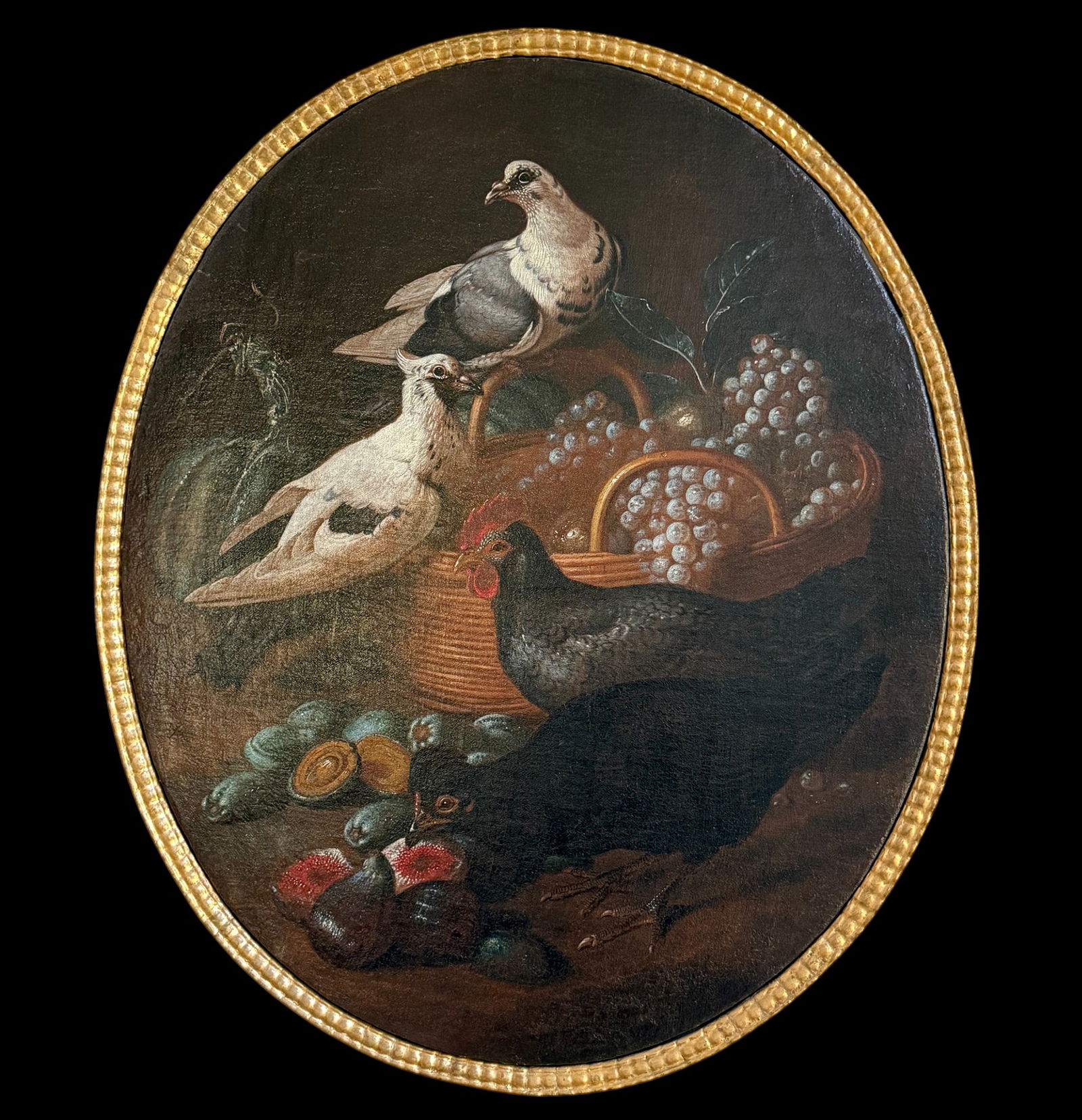 Angelo Maria Crivelli, il Crivellone (active in Milan 1690-1730) - Scene with doves, hens, grapes: Oil on canvas. Dimensions: 95.5 x 80 cm. Batch in international warehouse (within the EU). Intra-EU shipping: no import duties apply within the EU. An export permit from the country of origin may be r