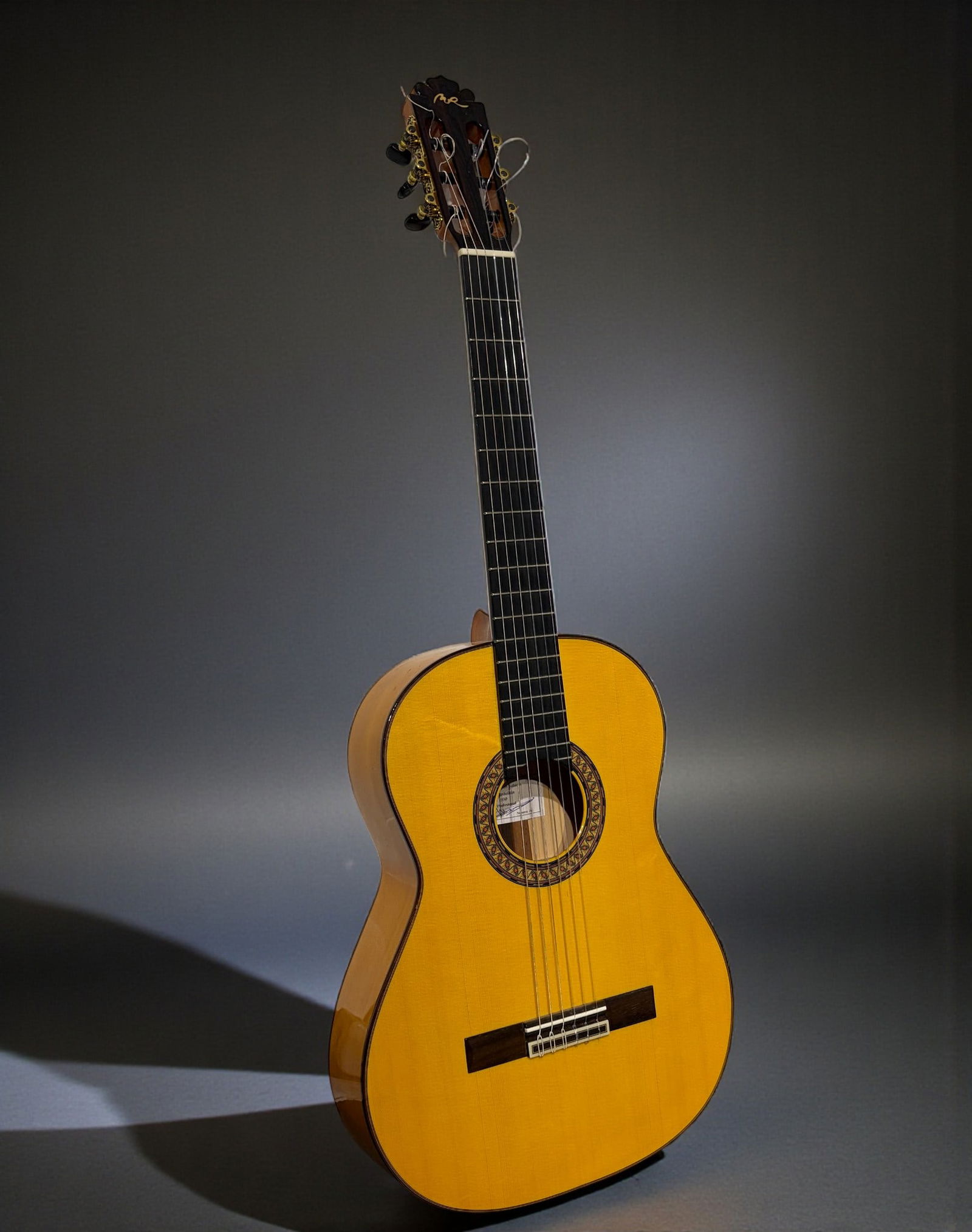 Manuel Rodriguez MR Guitar (1 of 10)