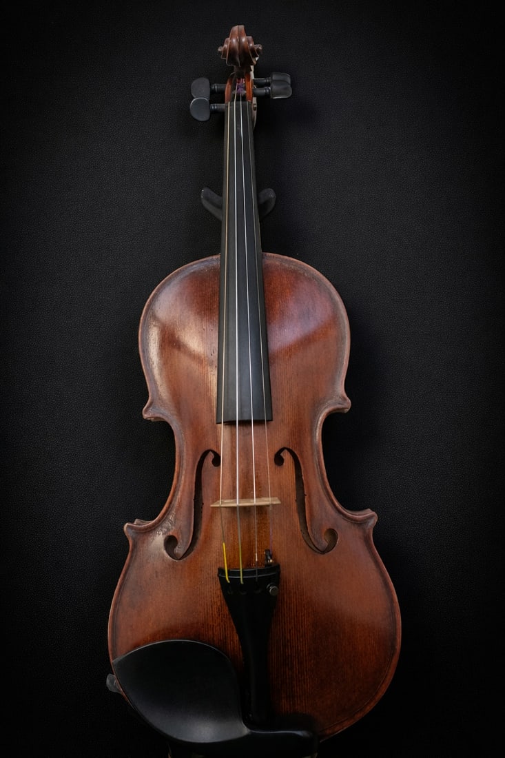 Turin-made violin with certificate from master luthier Tonino Boga, Italy, 20th century (1 of 5)