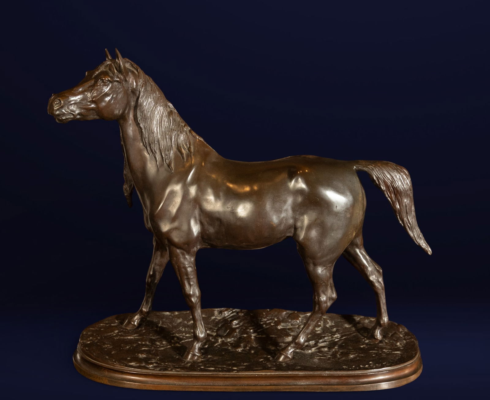 Pierre-Jules MÈNE (1810-1879) Exceptional Bronze Horse, 19th century: Bronze: 50 x 42 x 18 cm. Pierre-Jules Mêne was a French animal sculptor, born in 1810 in Paris and died in 1879 in the same city. He is considered one of the pioneers of animal sculpture in the 19th