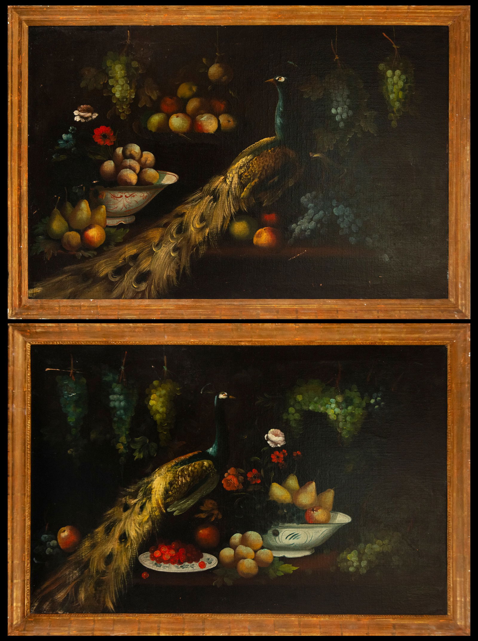 Large pair of Italian Roman still lifes with a peacock, Italy, 18th century: Oil on canvas. Measurements: 140 cm x 92 cm and 153 cm x 103 cm