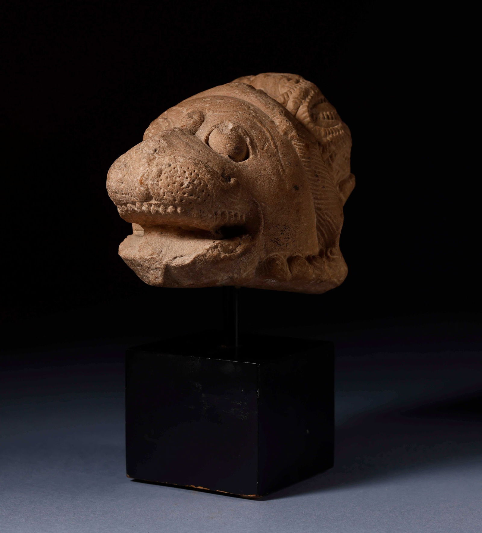 Rare Pre-Islamic Lion Head, Middle East, Zoroastrian or Assyrian Culture, 10th - 12th Century: Stone, 12 x 12.5 x 17 cm - Ex-European private collection.