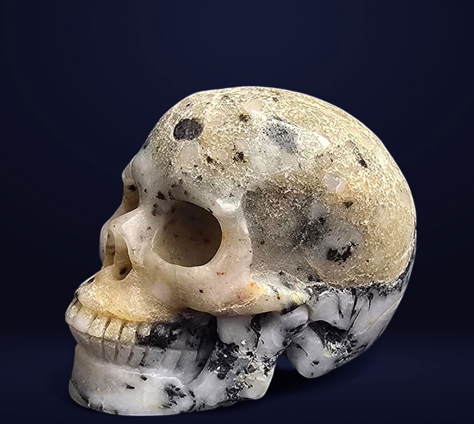 Mexican Vanitas Skull in Huamanga Alabaster, 19th century (1 of 2)
