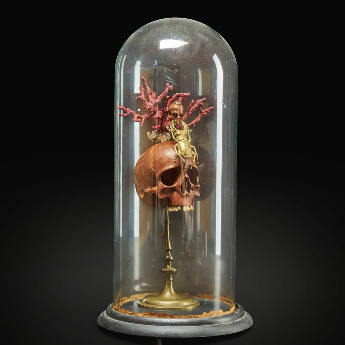 Memento Mori composition with two skulls, scarab and coral. (1 of 1)