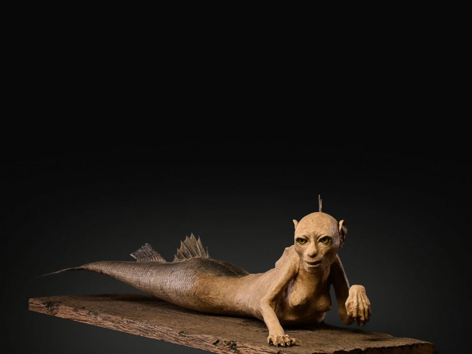 Rare Fiji Mermaid. Europe or Japan, 19th century: Mixed media. Measurements: 90 × 25 × 20 cm. Composite figure known as a Fidji or Feejee mermaid, created by combining the torso of a small mammal with a fish tail, designed to resemble a mythologica
