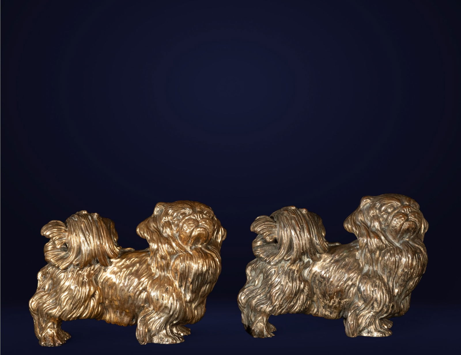 Pair of Pekingese dogs in bronze, Germany or Austria, 19th century: 23 x 20 cm each