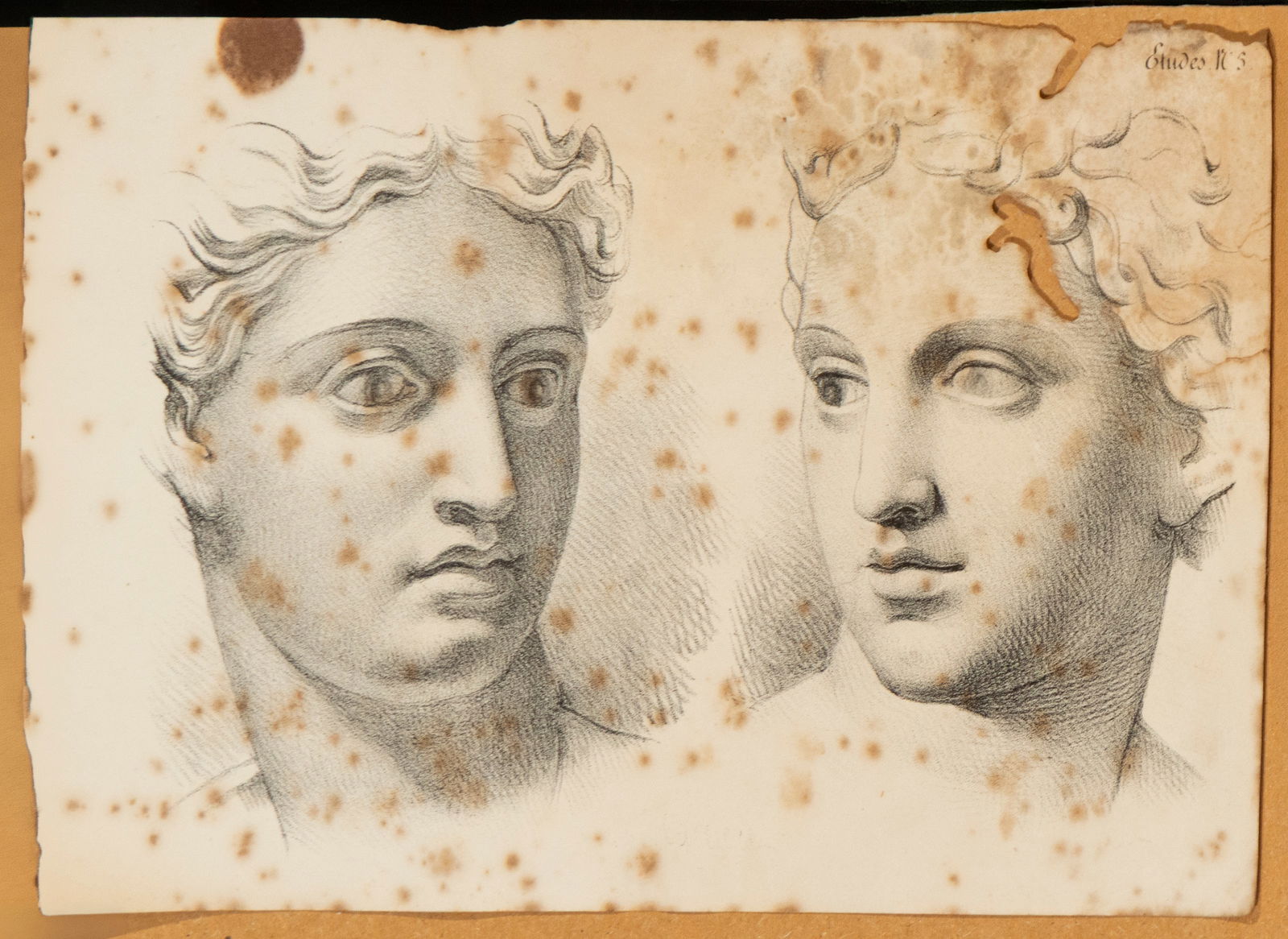 Decorative charcoal drawing of Apollo, European school, 19th-20th century: Pencil drawing on paper. Measures 22 x 15 cm.