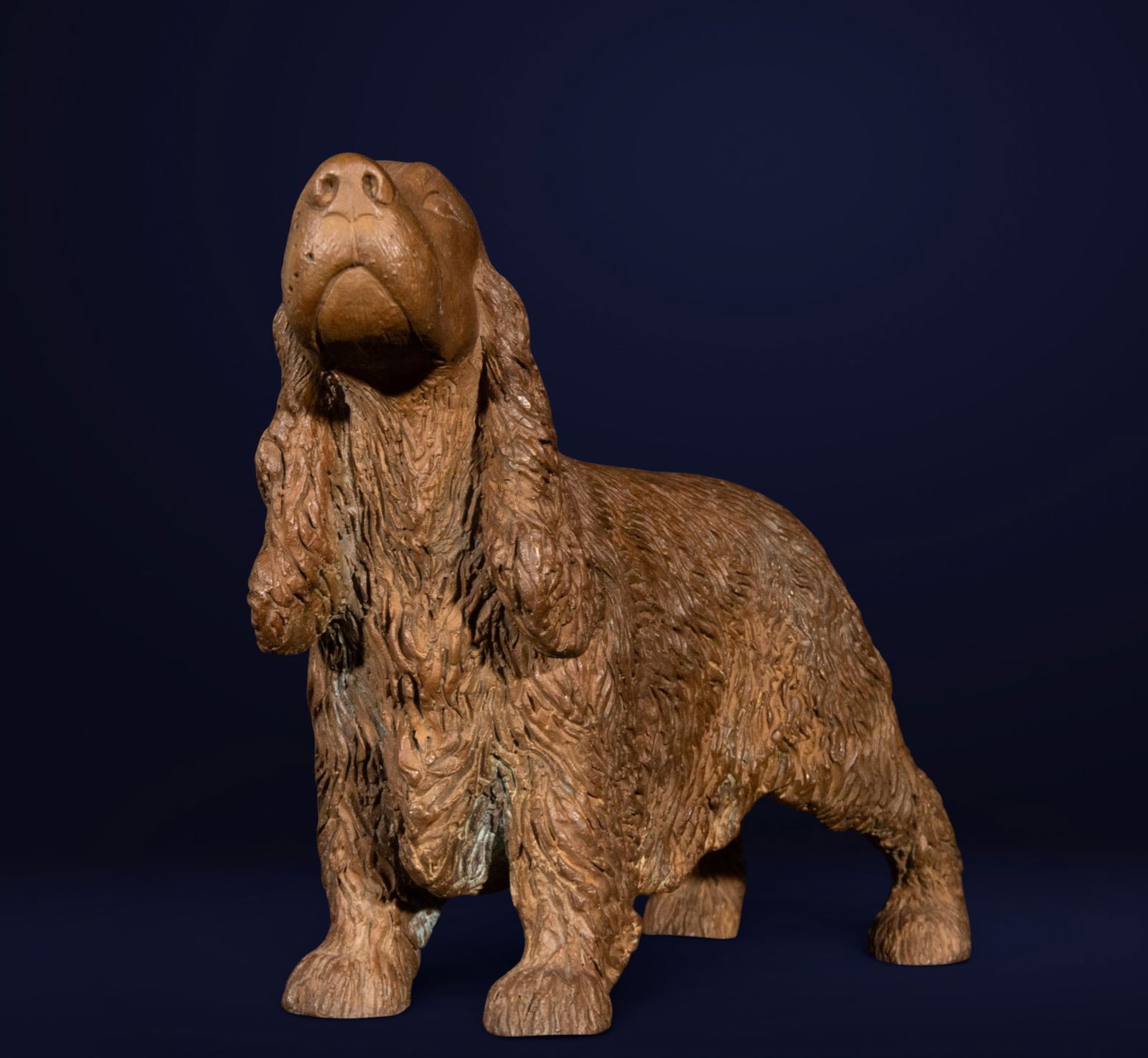 Beautiful English Cocker Spaniel in terracotta. Central European school. 20th century: Terracotta. Measurements 14 x 7 x 15 cm.
