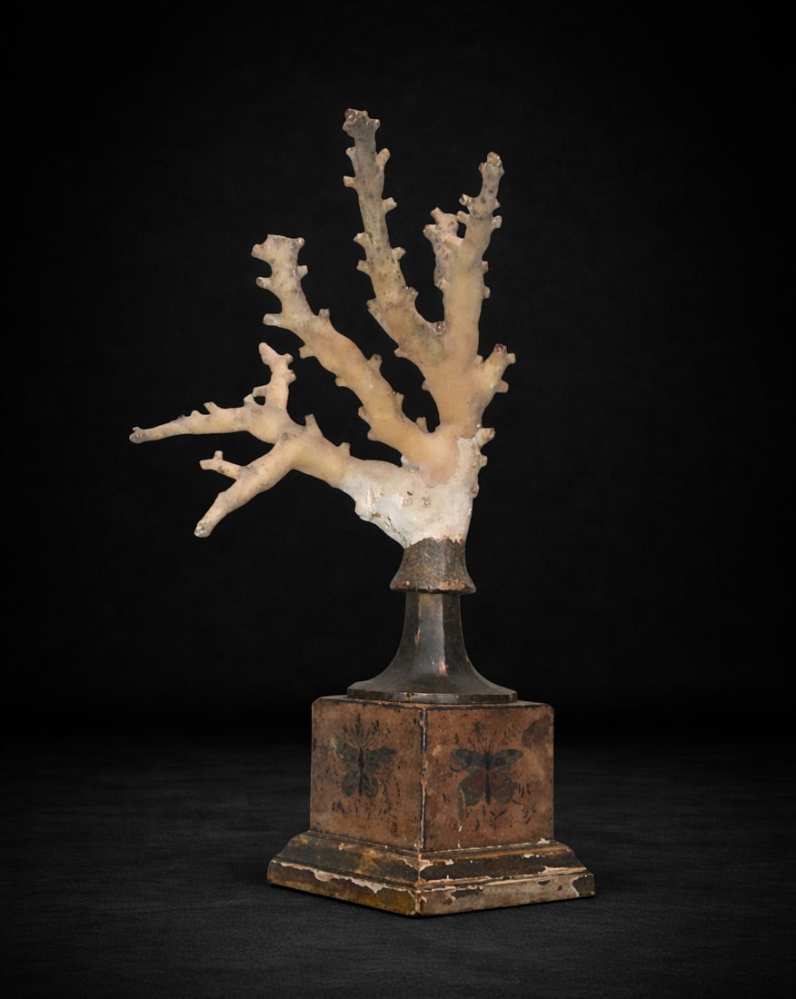 LARGE CORAL BRANCH (Mediterranean, 19th century) - Natural coral branch on a Charles X style base: Natural coral mounted on a decorative base. Total height: 39 cm. A large decorative branch of natural coral mounted on an original Charles X-style base, a style highly prized in the 19th century due t