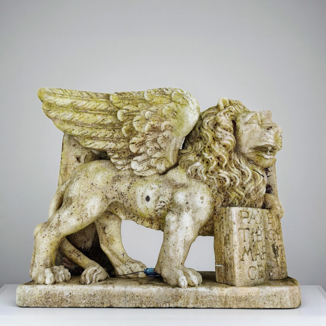 High relief in Greek marble from Thassos representing the Lion of Saint Mark, Italy, 20th century: Greek marble from Thassos, carved. Dimensions: 95 × 78 × 24 cm. A masterful high-relief sculpture depicting the Lion of Saint Mark, emblem of the Most Serene Republic of Venice, from Venice, private