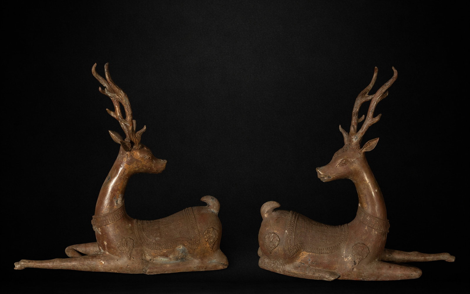 Life Size Deer Cubs in bronze, Indian, 20th C, in Bronze: In patinated bronze, 55 x 56 x 16 cm each
