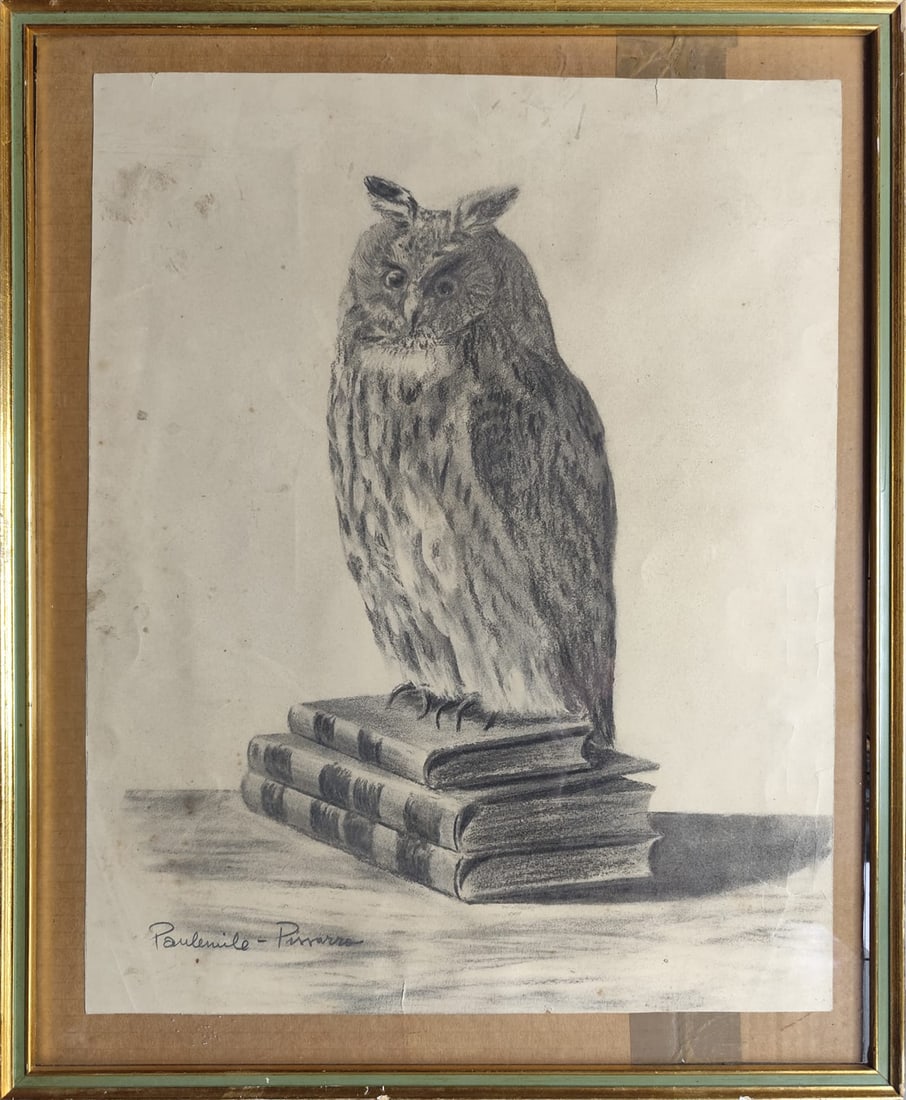 Owl in charcoal, signed Paulemille Pissarro: Measurements: 50 x 40cm