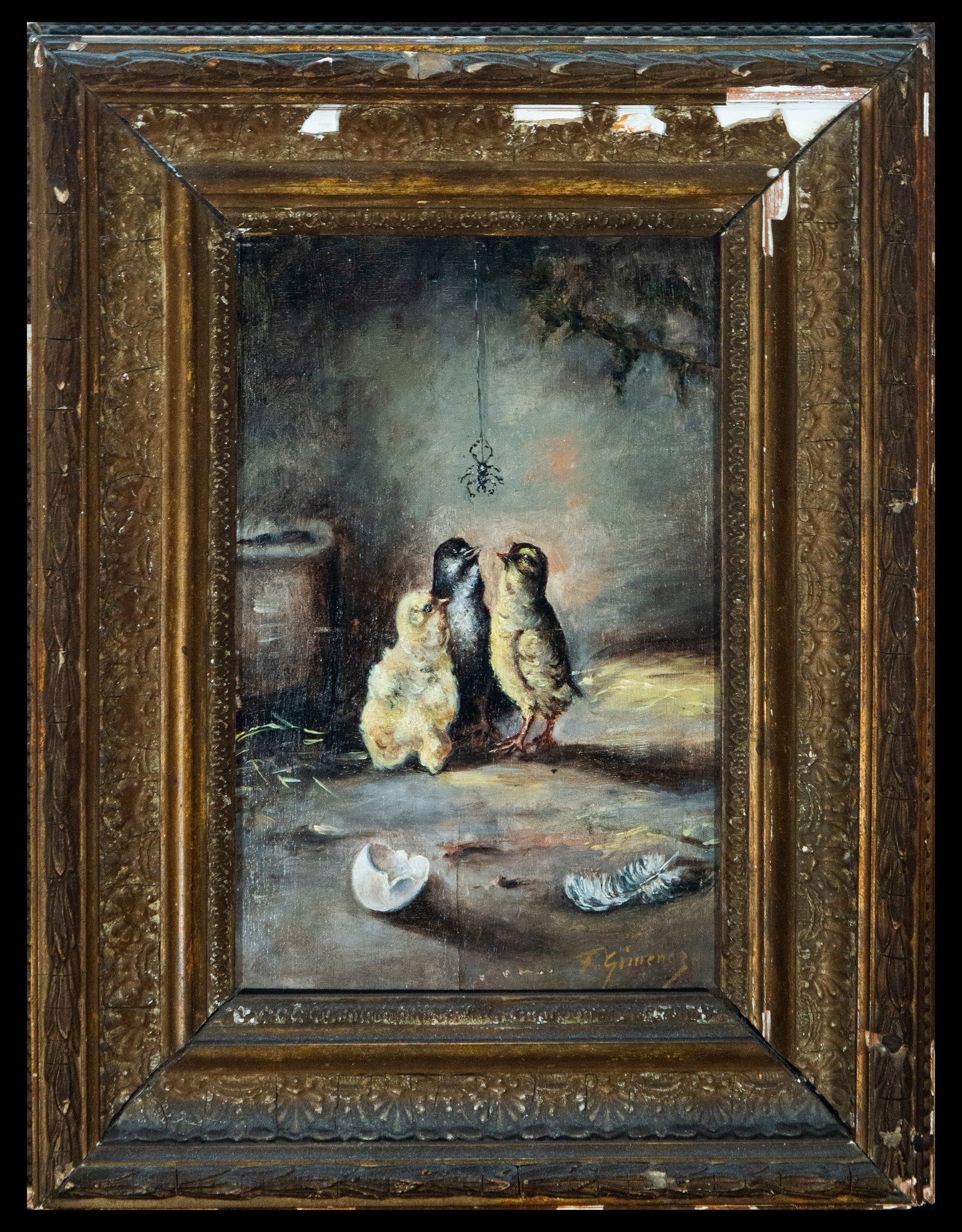 Spanish School of the 20th Century - Chicks hunting a spider, Oil on board (signed F.Gímenez): Oil on panel. Dimensions 37 × 29 cm. This work, signed by F. Gímenez, presents an intimate and detailed nature scene, where three newly hatched chicks watch in fascination a spider hanging from its 
