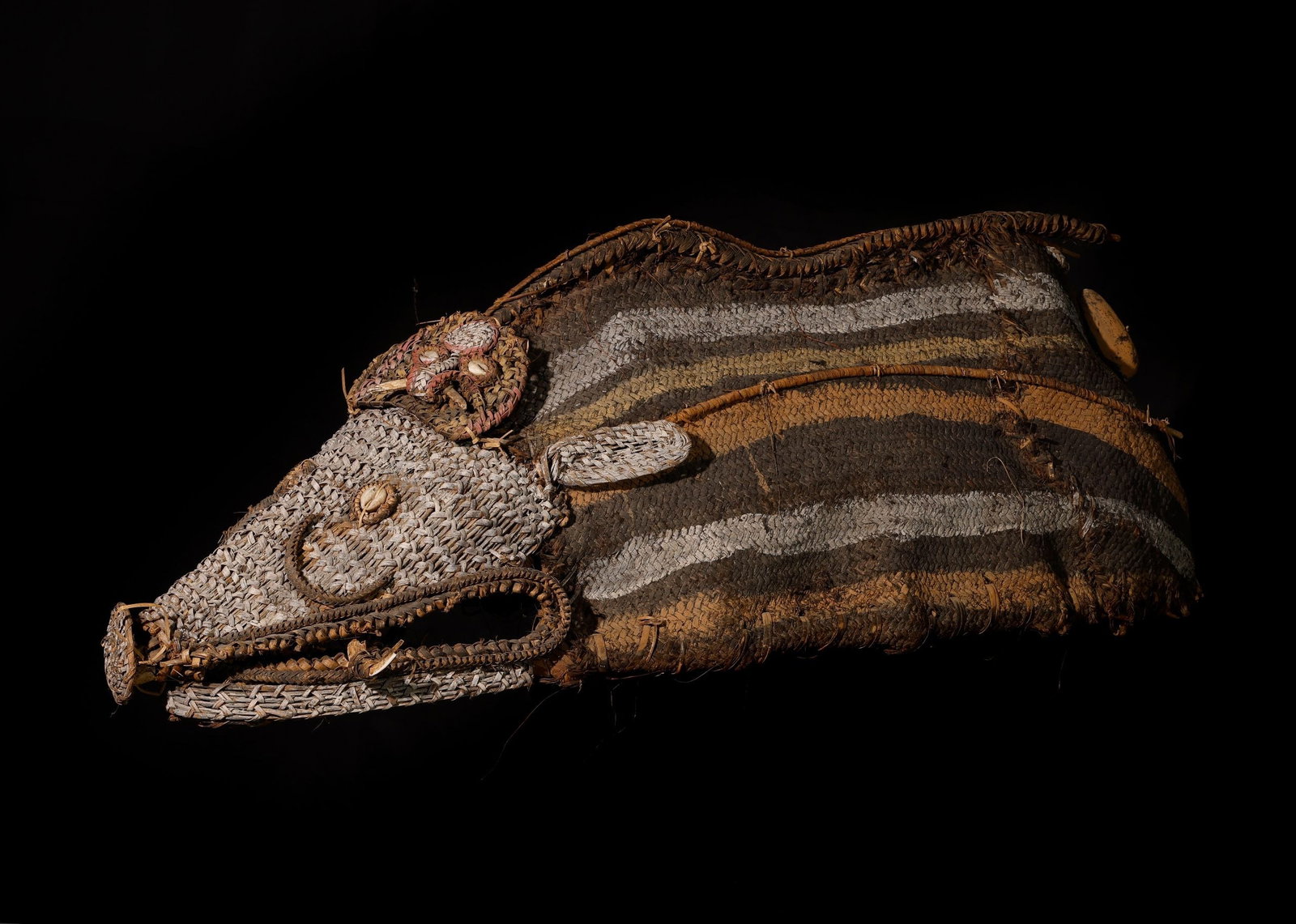 LARGE CEREMONIAL BOAR HELMET - OCEANIA EARLY 20TH CENTURY: Wicker, Woven plant fiber, Shell, Rattan. 110 cm. - Originally acquired by the traveler and explorer Rudi Caesar c. 1950 to 1970, ex. Rudi Caesar collection.